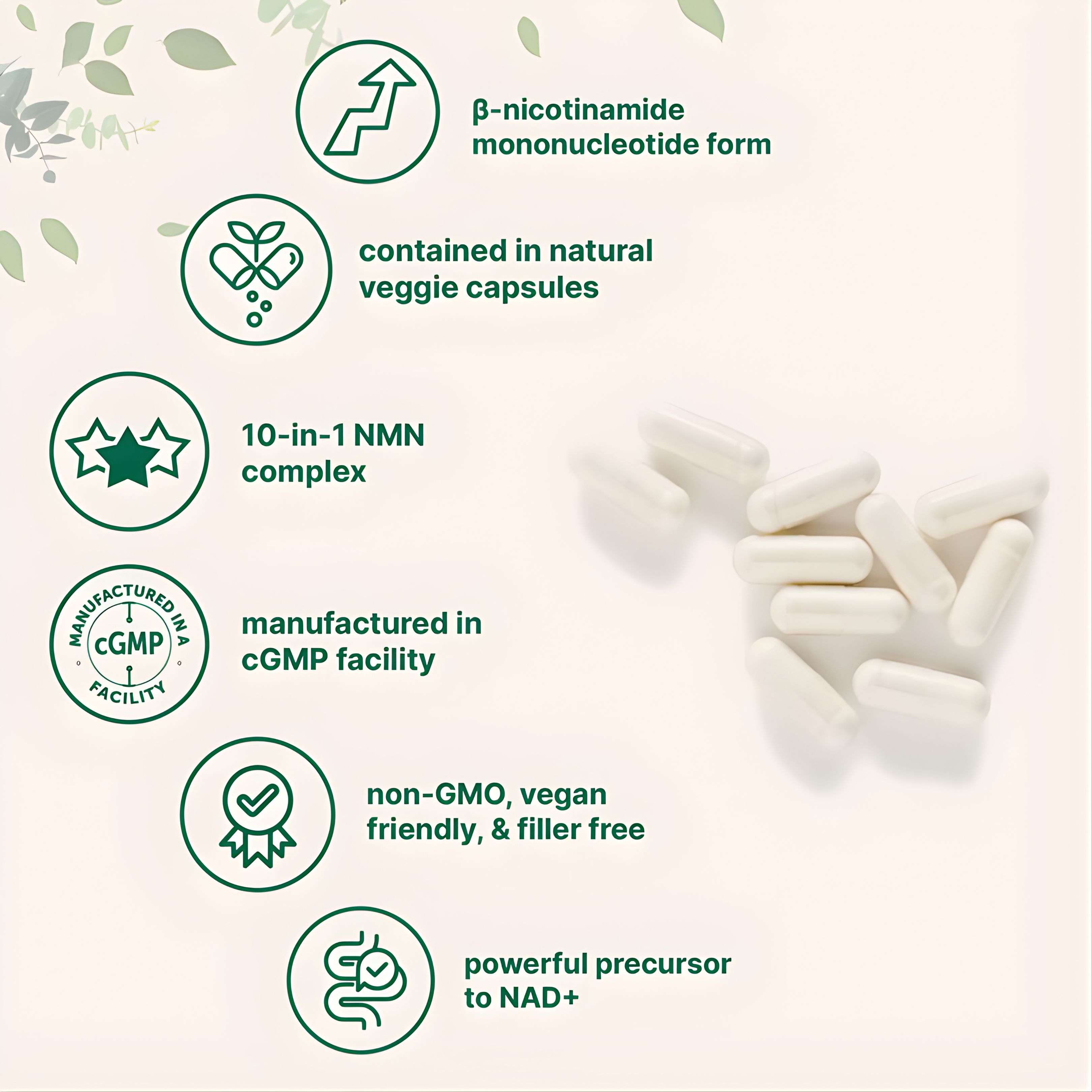 NMN Complex 1,000mg Per Serving 10-1 Complex